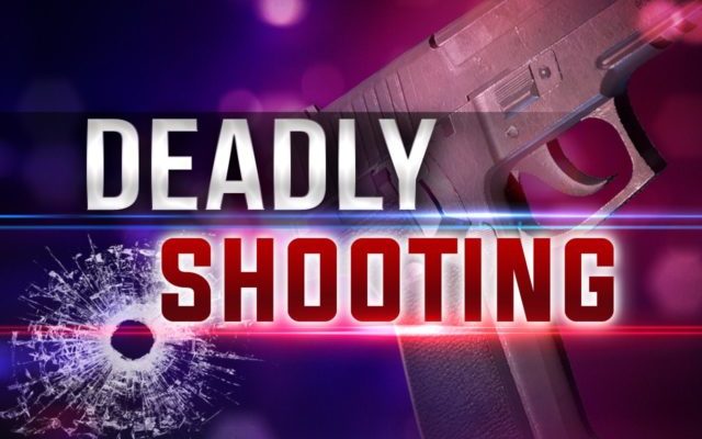 Deadly Shooting In Bellevue, 2 Pronounced Dead, 2 Others Wounded