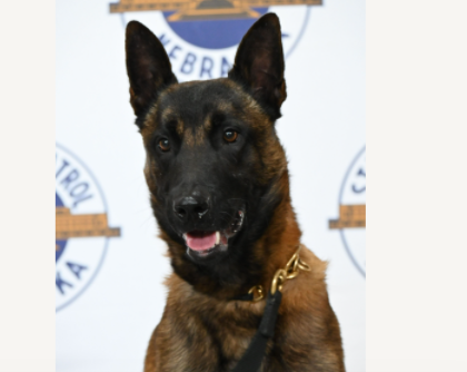 NSP Introduces Five New K9s with 2022 Calendar