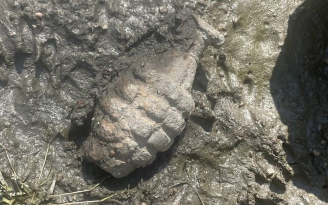 Grenade Found In Riverbank Near Seward